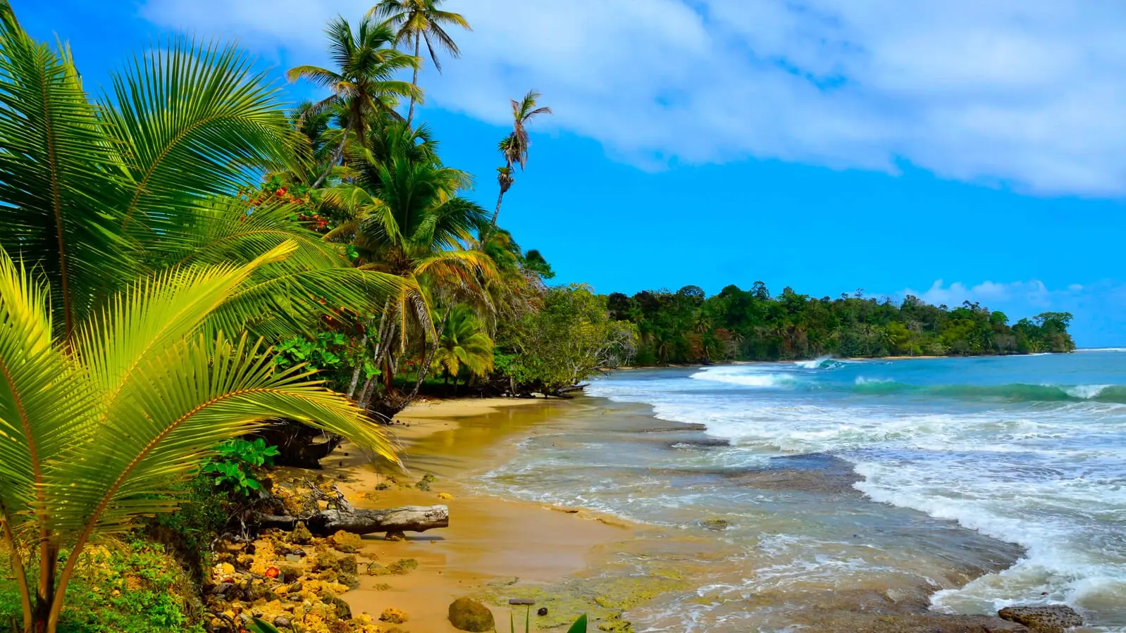 Strand Panama