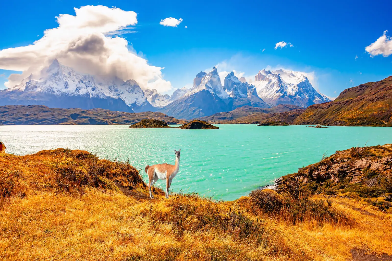 Torres del Paine Nationalpark Chile