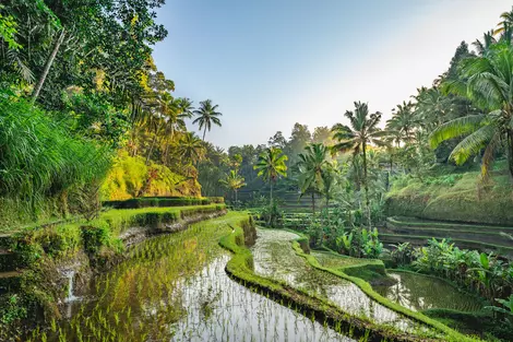 Singapur und Bali Rundreise