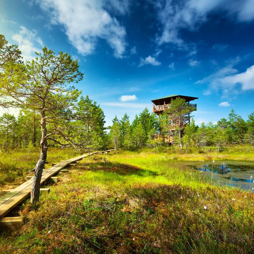 Laheema Nationalpark Estland