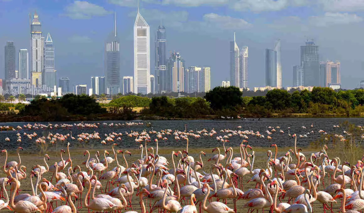Dubai  und Abu Dhabi: Metropolen und Strand