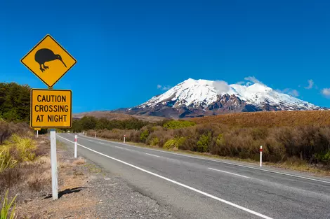 Neuseeland Rundreise - 23 Tage