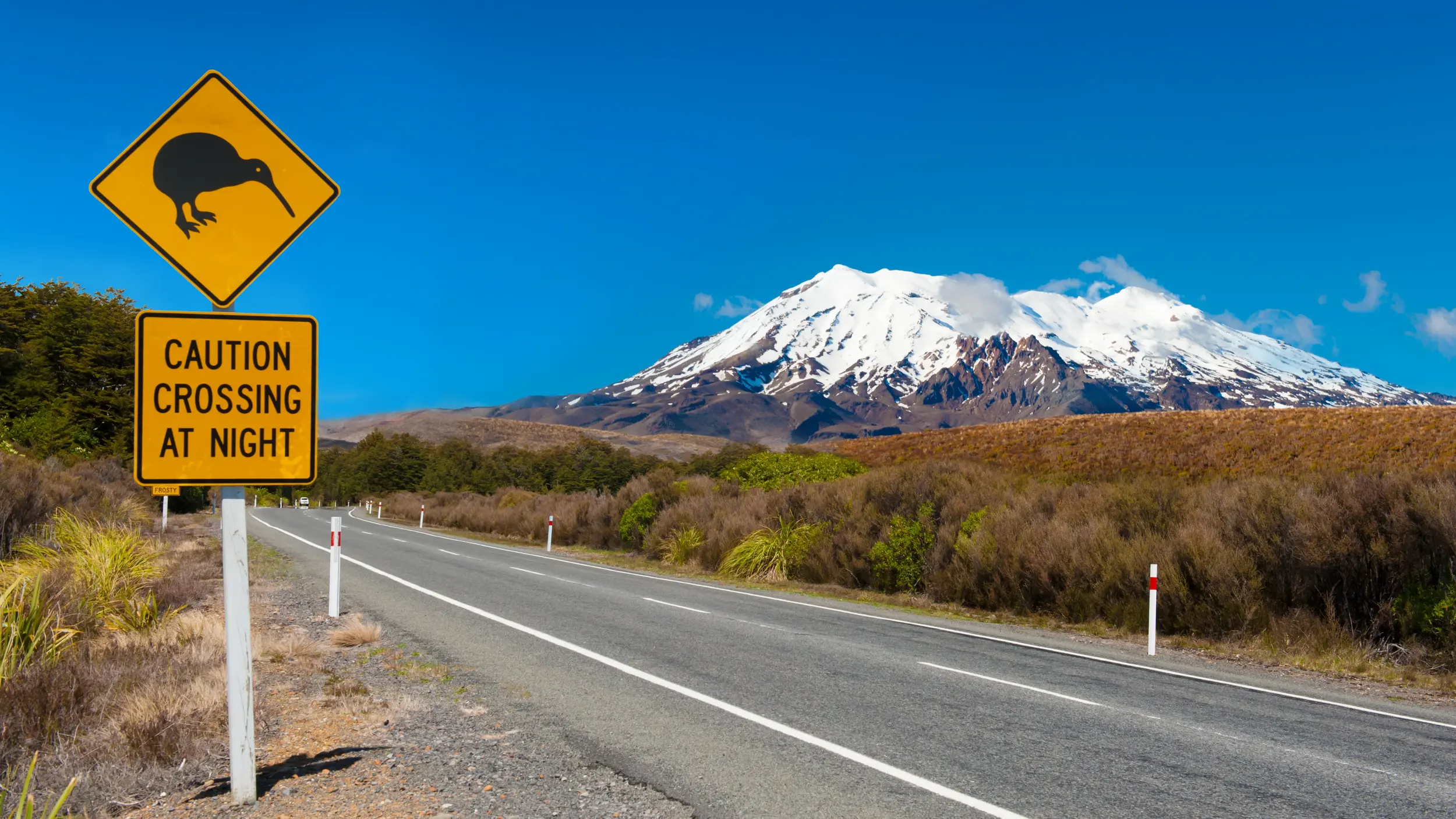Kiwi Schild Neuseeland