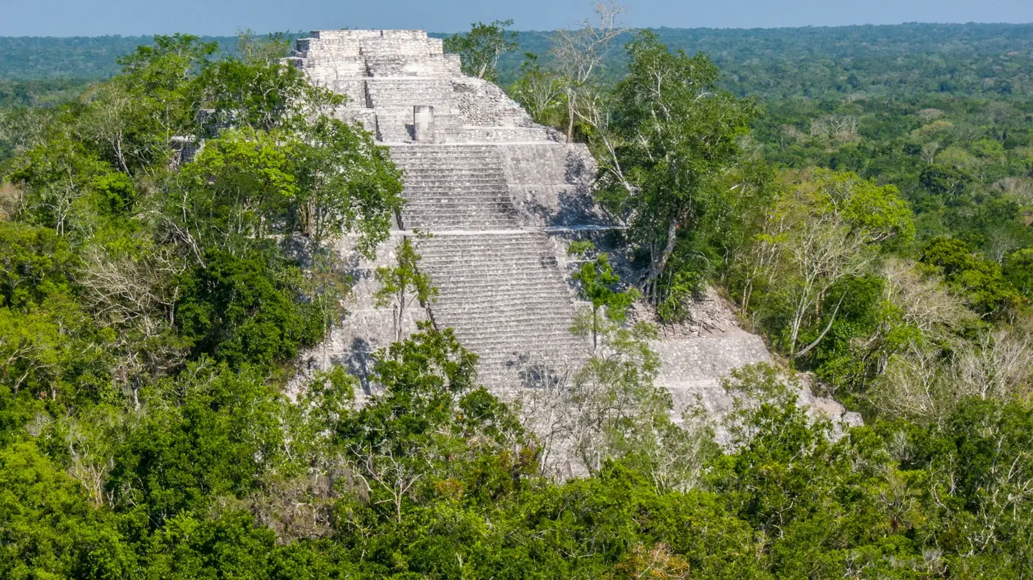 Calakmul Mexiko