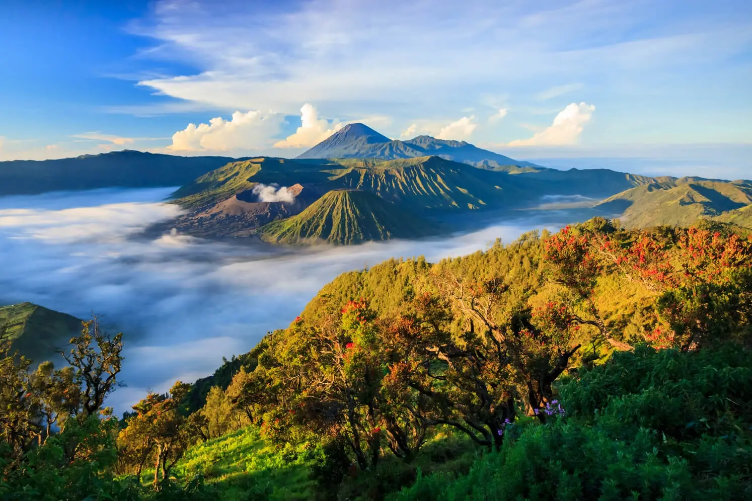 Mt. Bromo