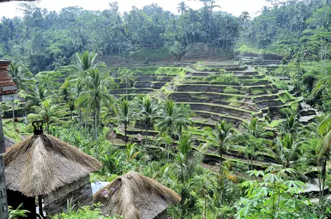Bali Rundreise 14 Tage