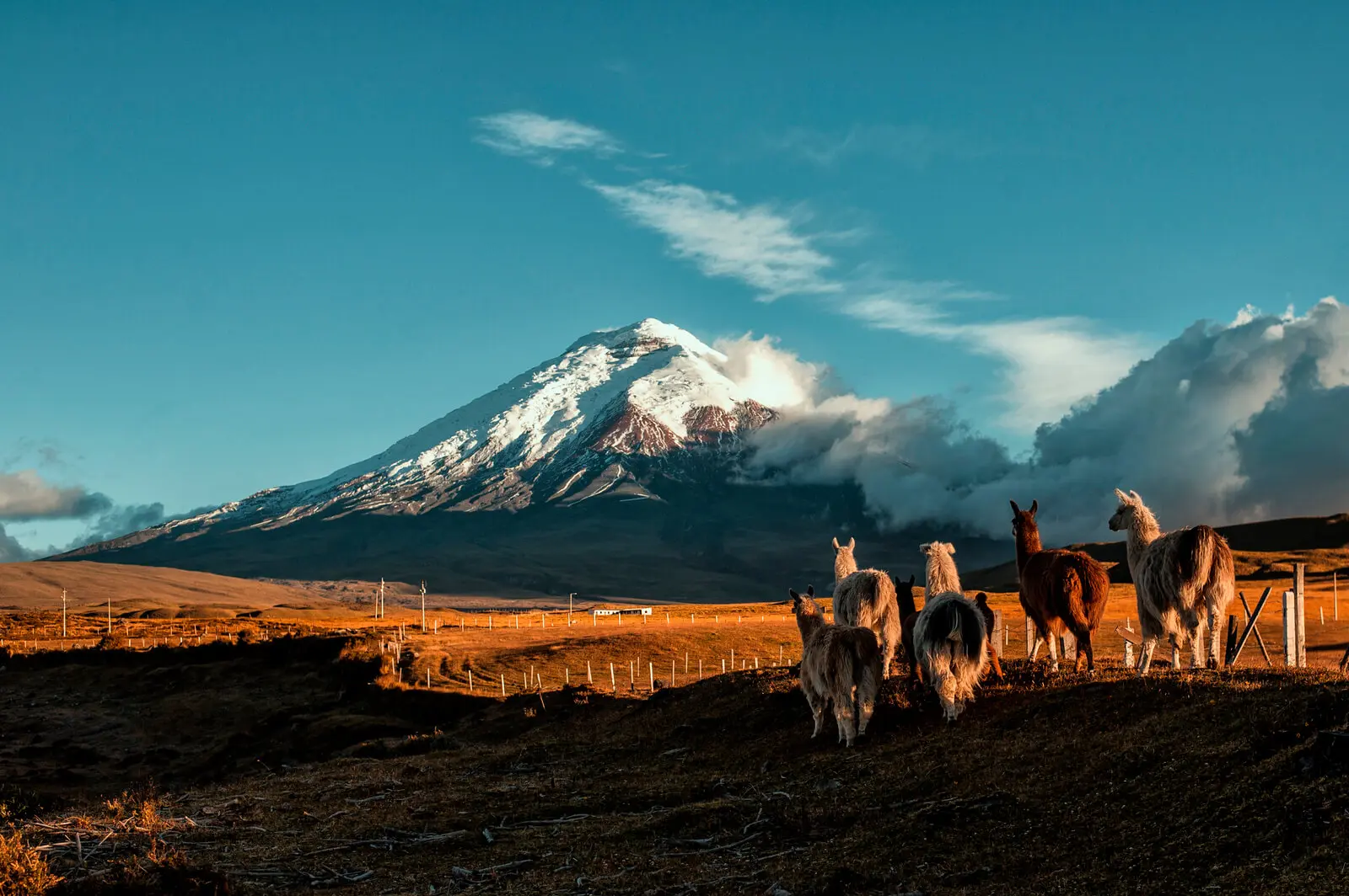 Cotopaxi Ecuador