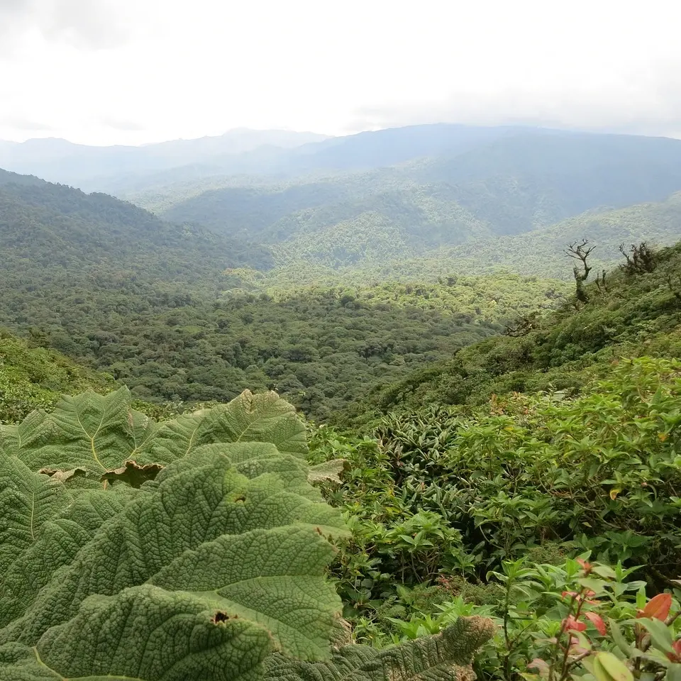 Monteverde Costa Rica