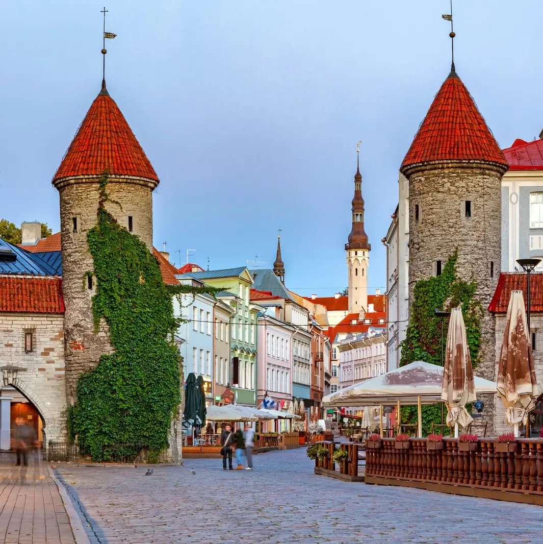 Vitus Tor Vilnius Litauen