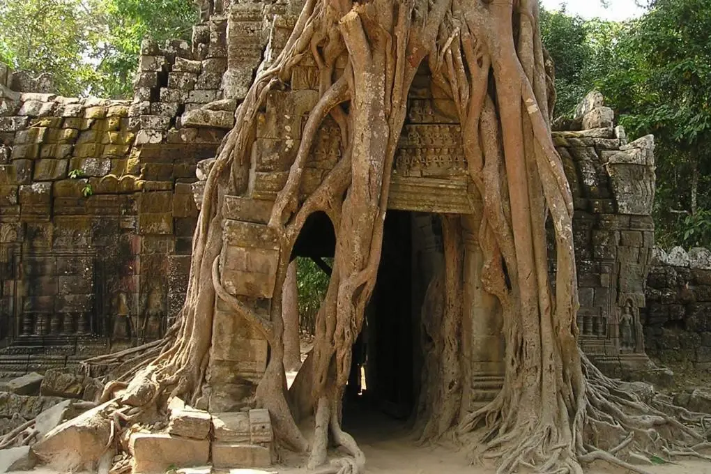 Ta Prohm