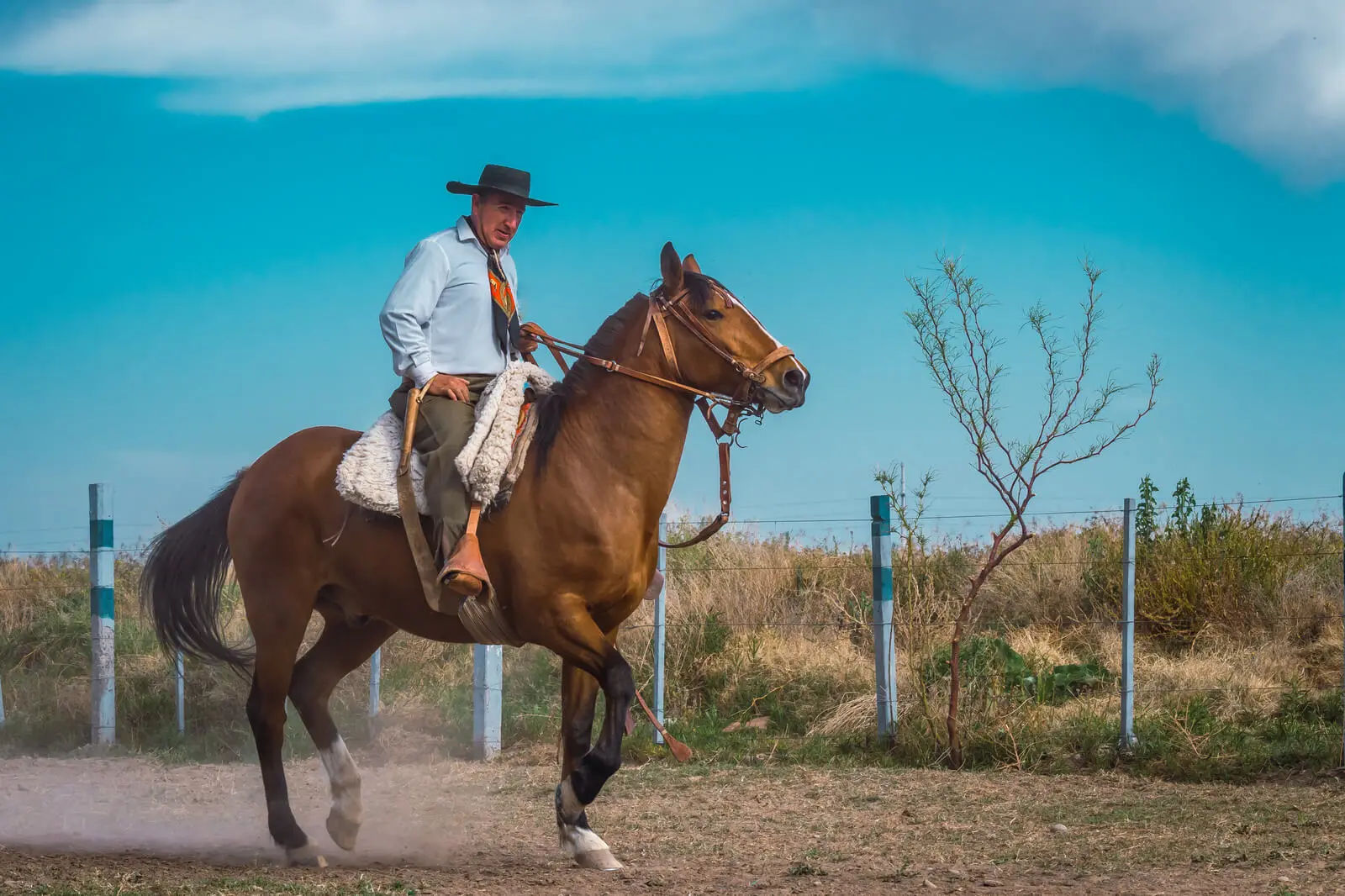 Gaucho Argentinien