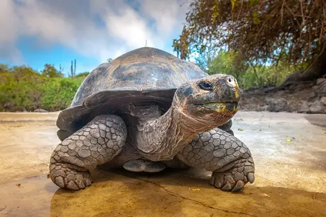 Rundreise Kolumbien & Ecuador mit Galapagos