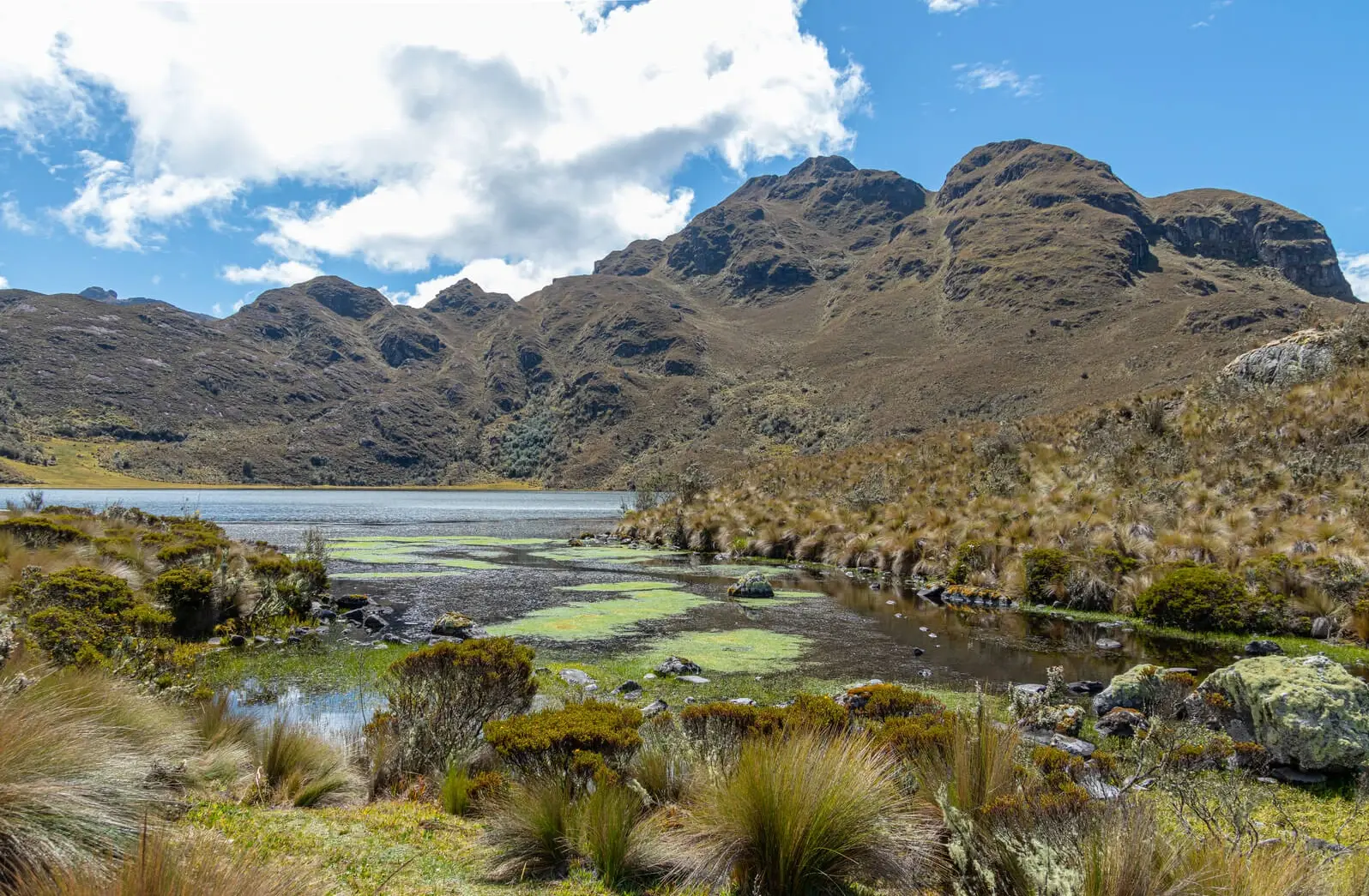 Cajas Nationalpark Ecuador