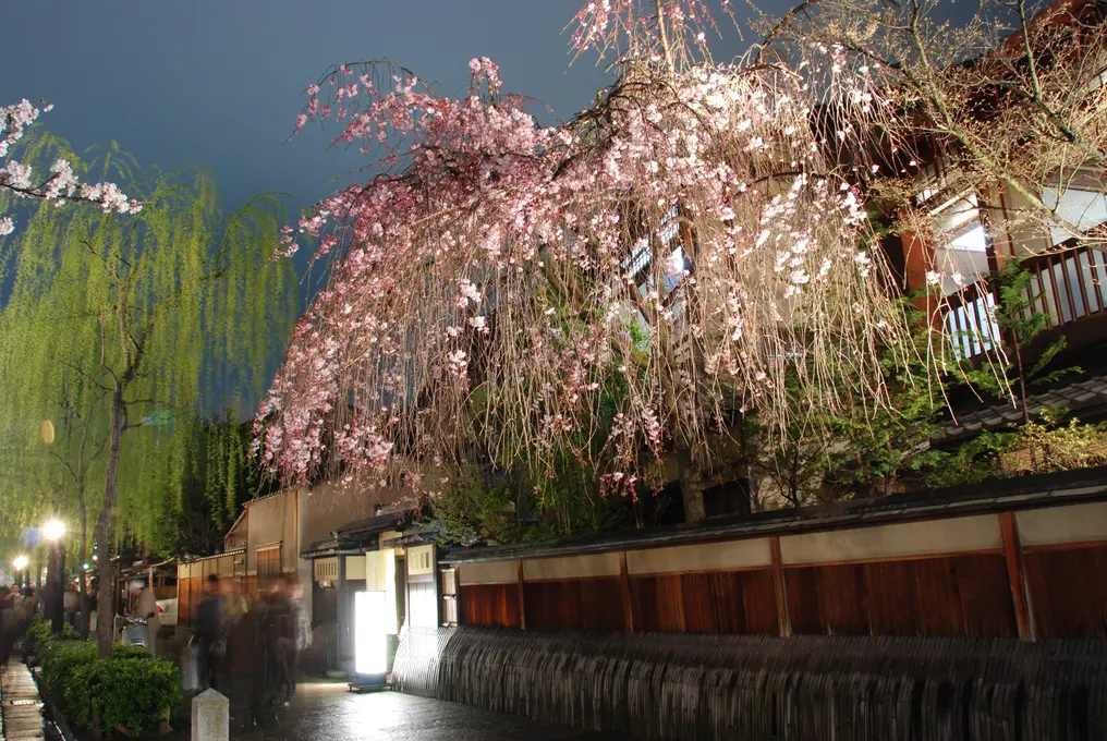 12 Tage Japan: Höhepunkte zwischen Tokio und Kyoto