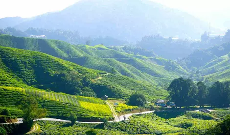 Sri Lanka Rundreise 12 Tage: Glanzlichter Sri Lankas (Privatprogramm)