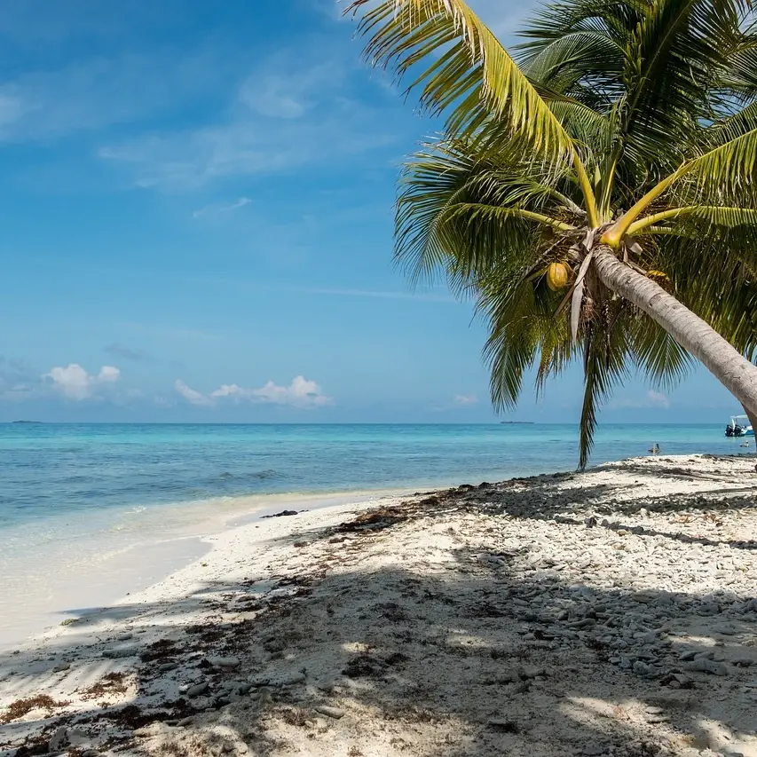 Caye Caulker Strand Belize