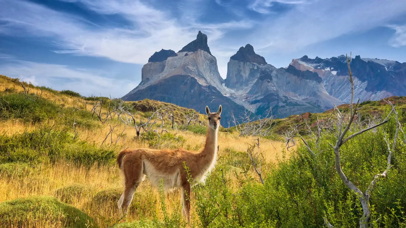 Patagonien Chile