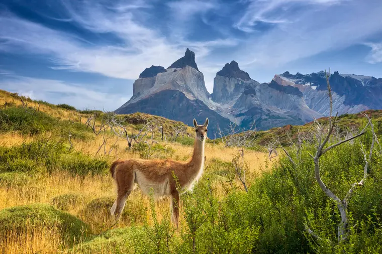Chile Rundreise