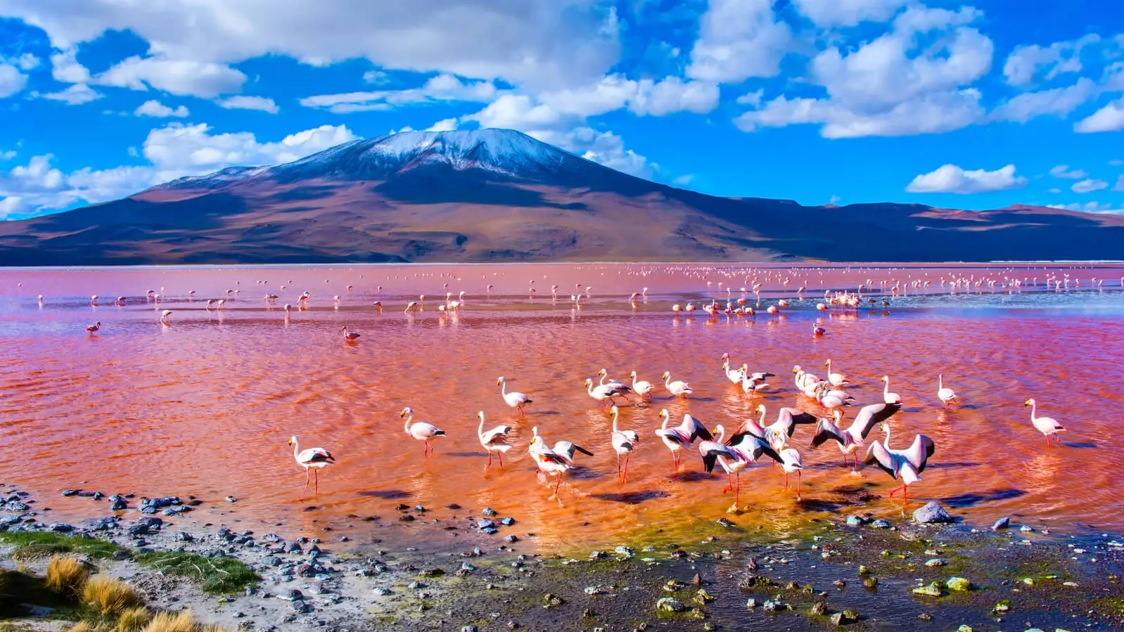 Uyuni Bolivien