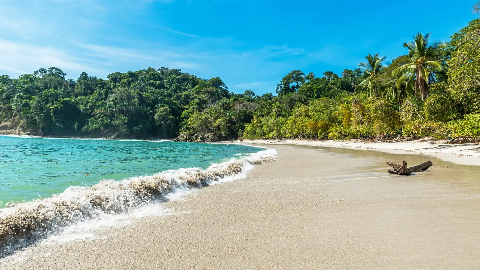 Manuel Antonio Nationalpark Costa Rica