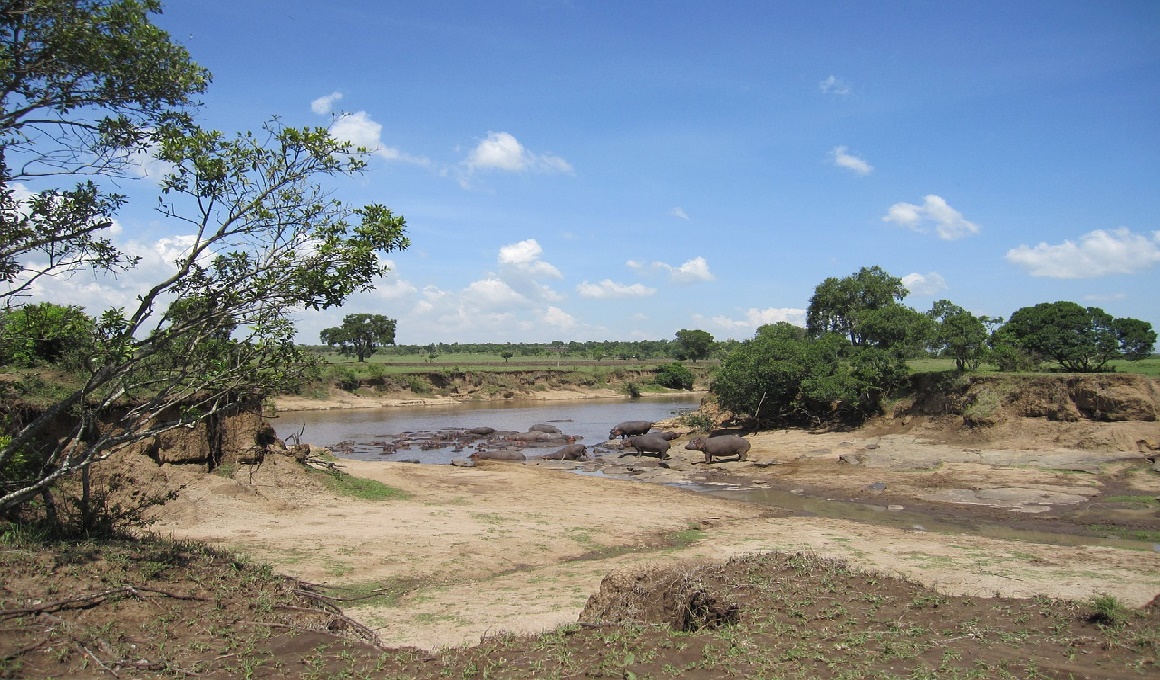 Afrika Urlaub - Höhepunkte Kenias