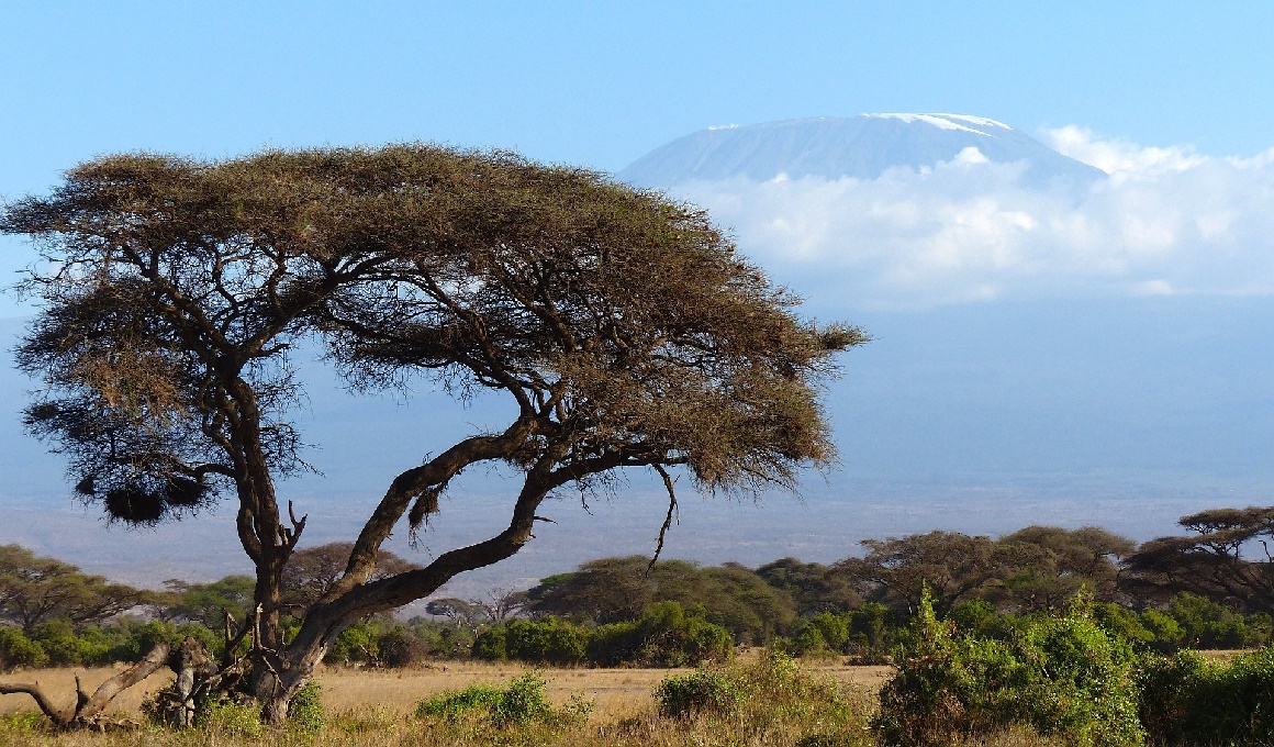 Afrika Urlaub - Höhepunkte Kenias