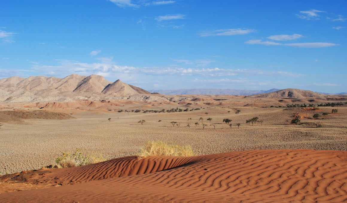 Best of Namibia