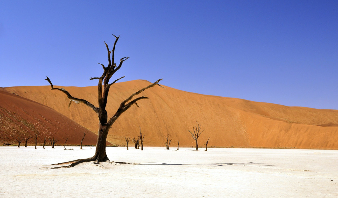 Best of Namibia
