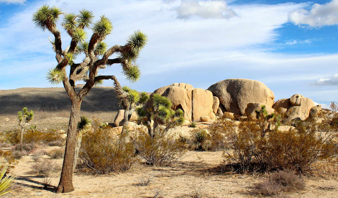 USA - Westküste und imposante Nationalparks