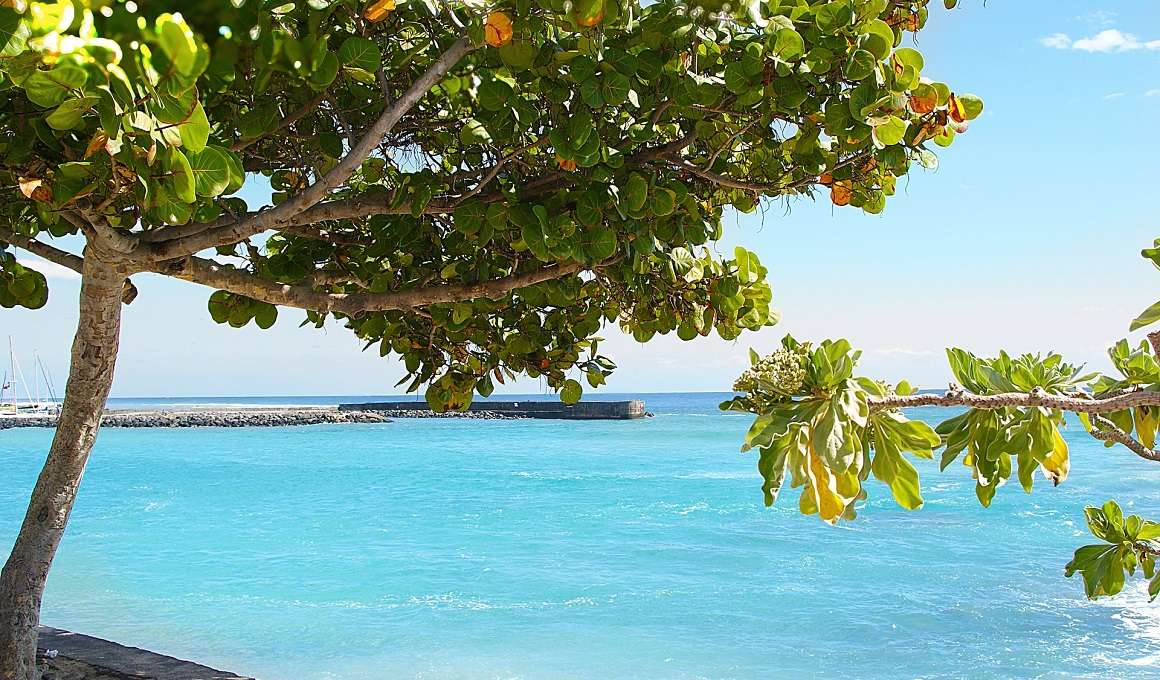 La Reunion und Mauritius