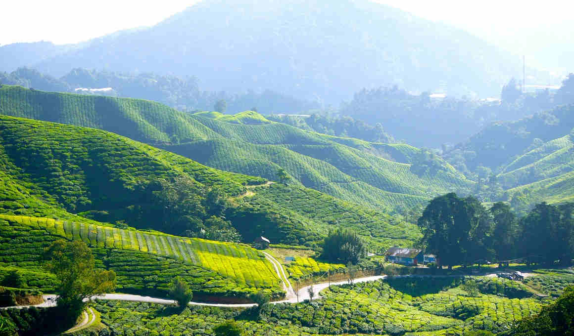 12 Tage Sri Lanka: Glanzlichter Sri Lankas (Privatprogramm)