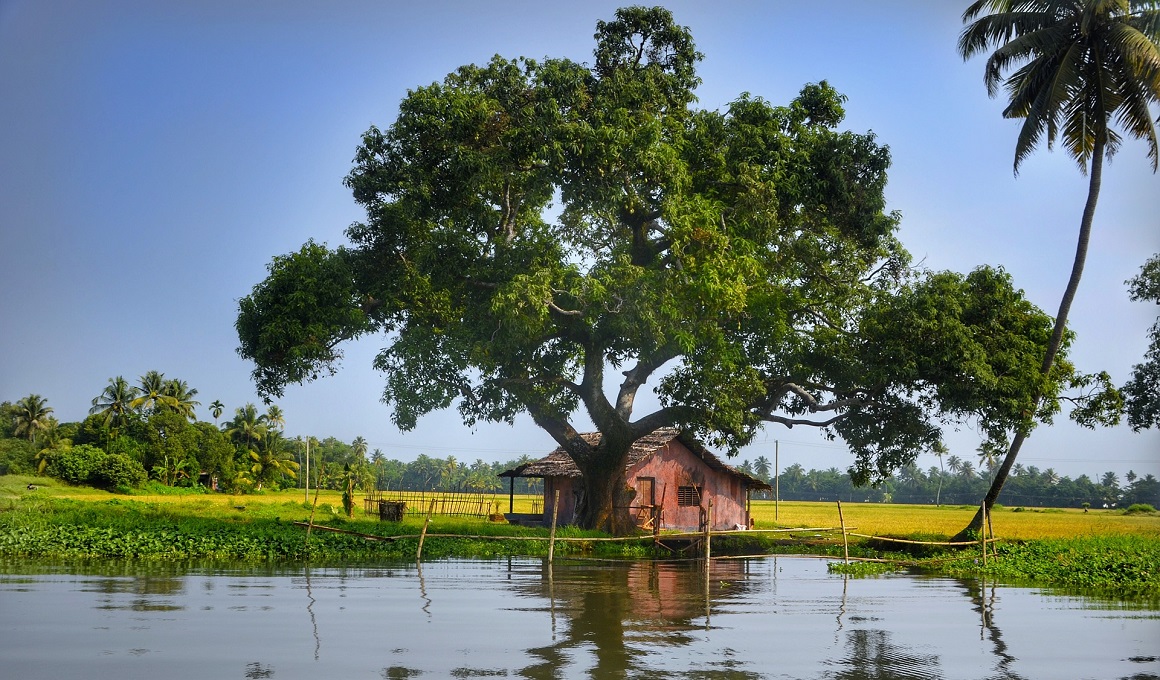 Südindien Rundreise - Tempel und Natur erleben