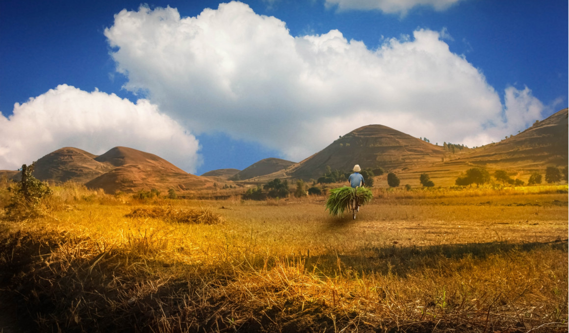 Afrika - Madagaskar Reise Insel der Lemuren