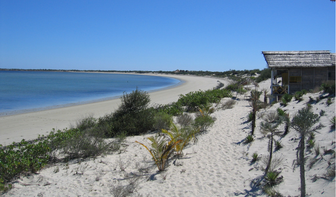 Afrika - Madagaskar Reise Insel der Lemuren