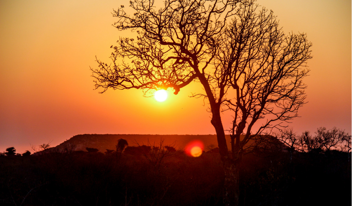 Afrika - Madagaskar Reise Insel der Lemuren
